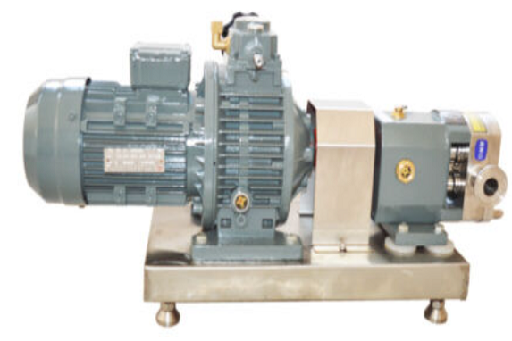 Cam rotor metering pump